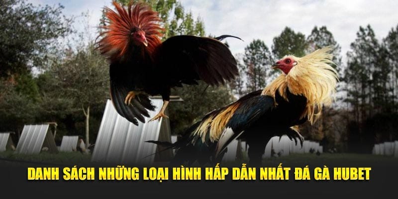 Đa dạng hình thức đá gà trực tuyến cho hội viên lựa chọn