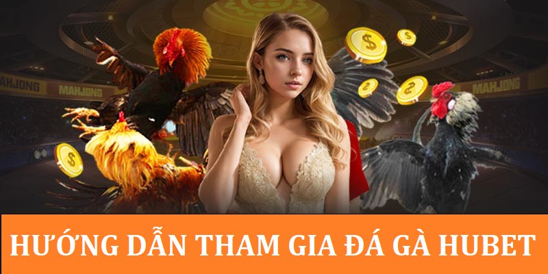 Các bước trải nghiệm với hình thức đá gà Hubet